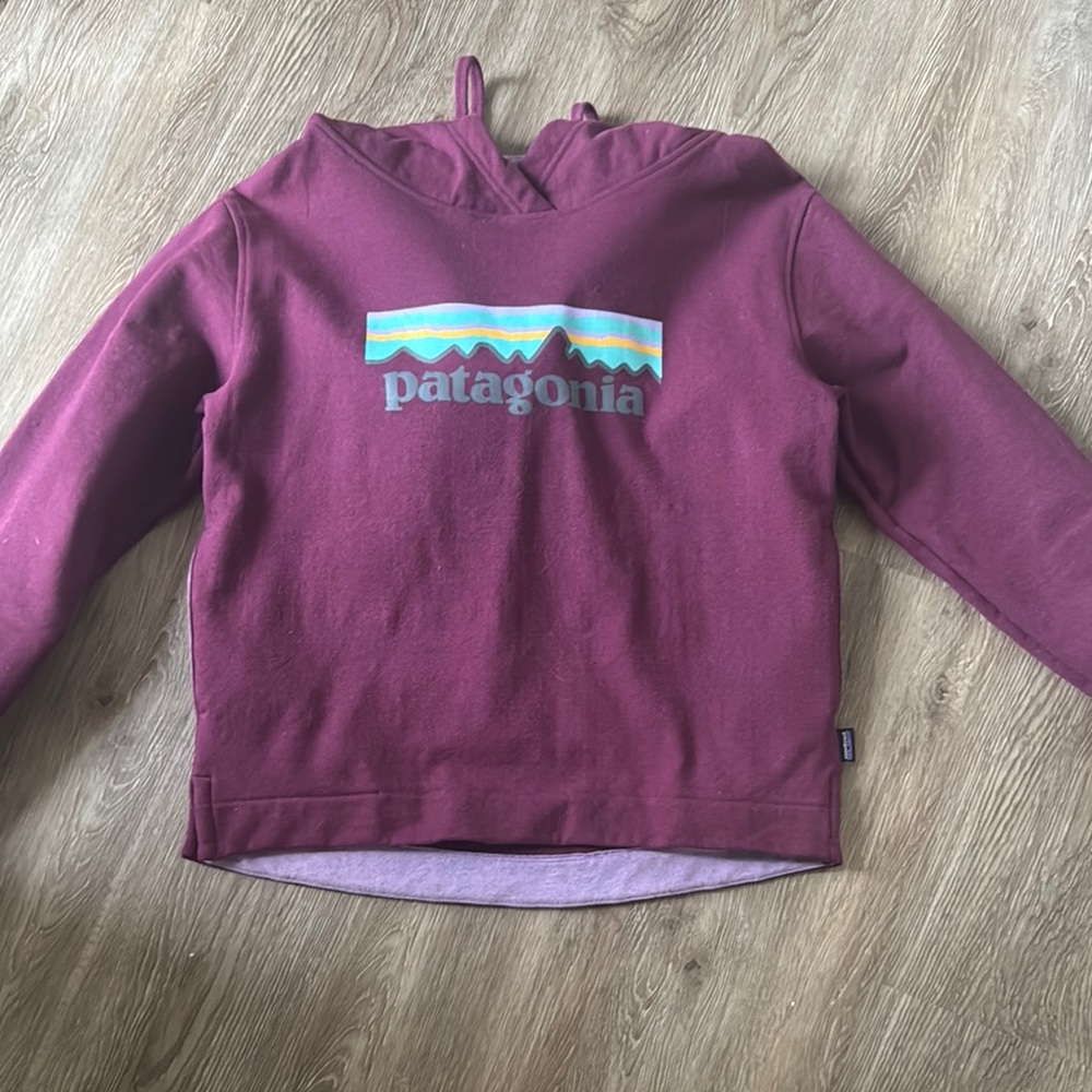 Patagonia Women’s Crop Maroon Hoodie